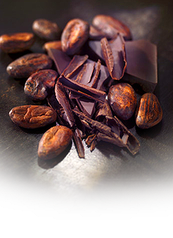 Натуральный какао порошок